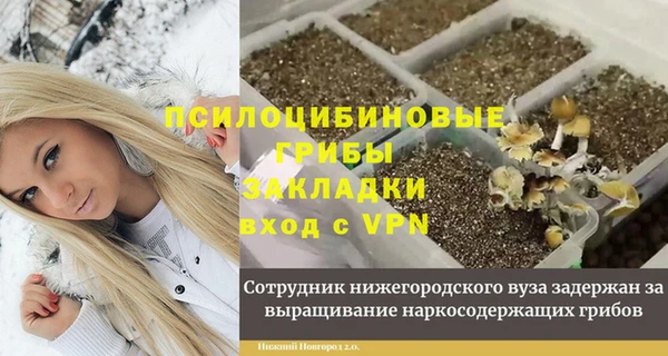 бошки Новозыбков