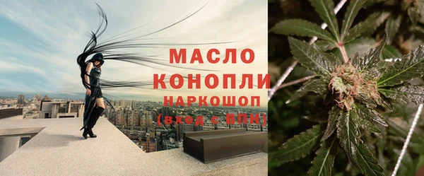 гидра Нязепетровск