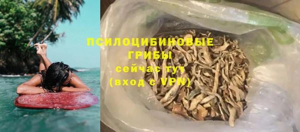 бошки Новозыбков