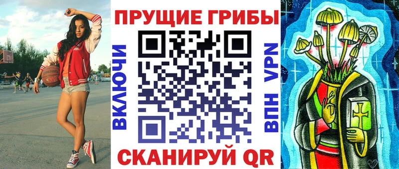 Галлюциногенные грибы Psilocybine cubensis  купить   МЕГА вход  Петровск-Забайкальский 